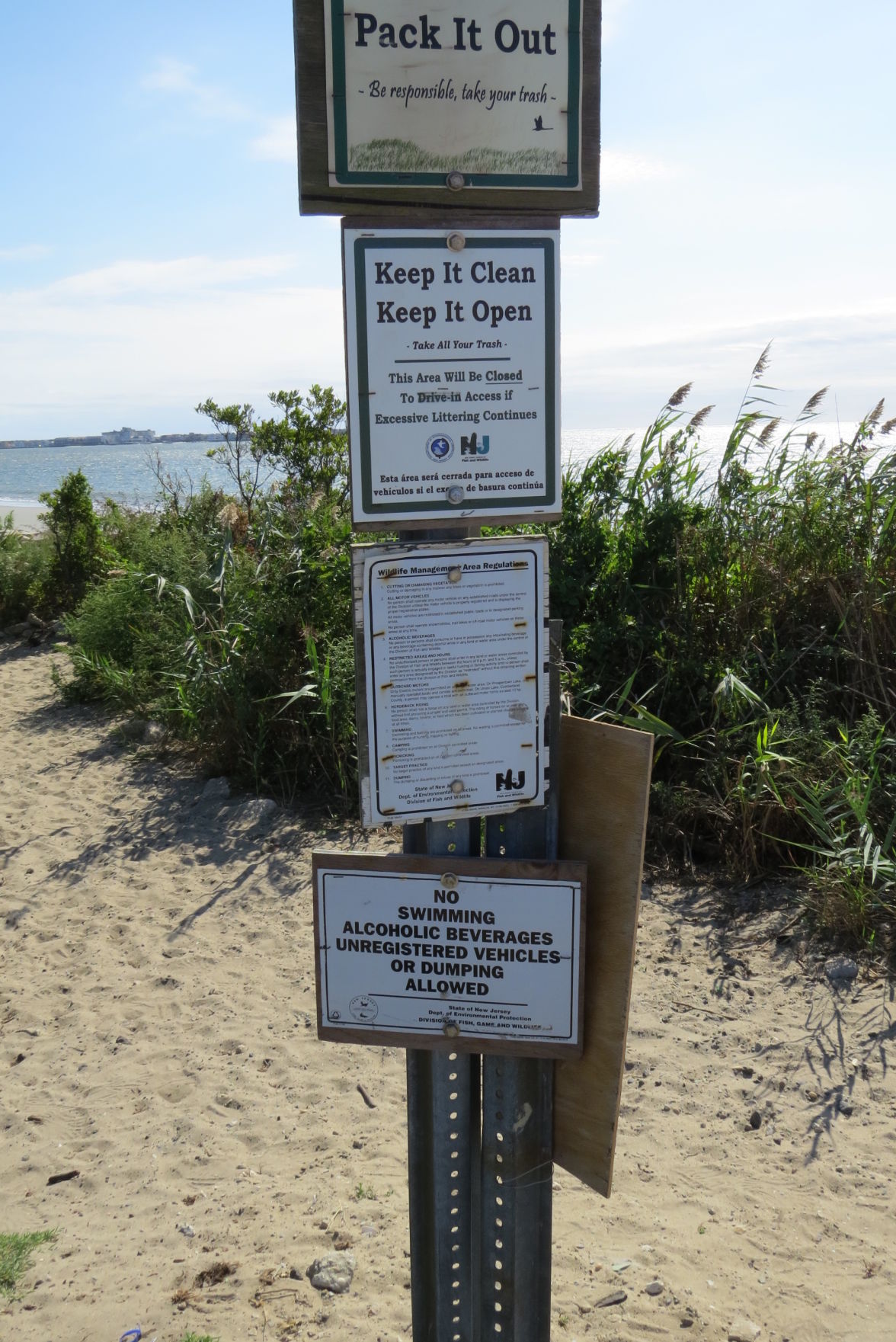 100816_urg_cdb_dogbeach (4).JPG